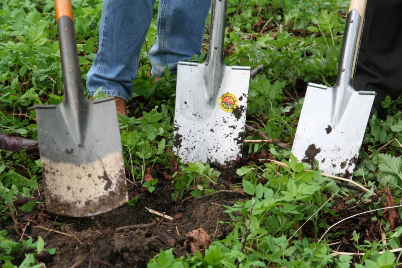 pepiniere-CARQUEIRANNE-min_work-lawn-flower-tool-green-backyard-1103633-pxhere.com